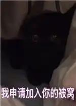 我申请加入你的被窝表情包好玩吗我申请加入你的被窝表情包怎么玩用户评论