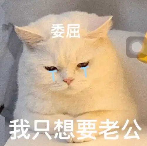 无内鬼,赶紧收图