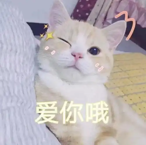 warmhug这个期中季,快来撞进一个温暖的怀抱吧