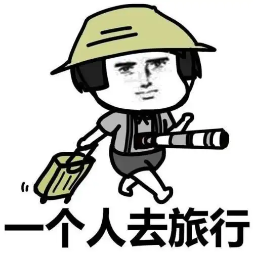 关起来的表情包开车