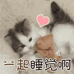 有没有那种一个人或者猫啊狗啊都行在被窝里然后伸出一只手拍了拍被子说快来一起睡的表情包啊