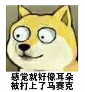 趣图表情包暴走图片doge