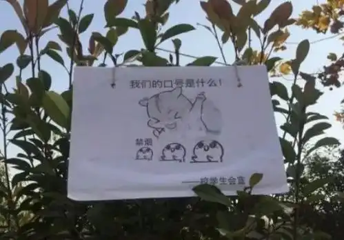 吸烟找不到对象这一波高校禁烟表情包你服不服
