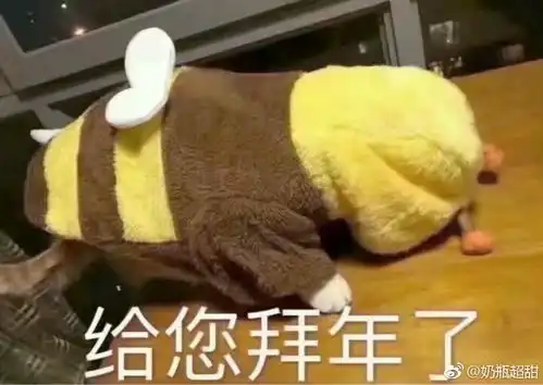 蔡徐坤的颜值成长轨迹