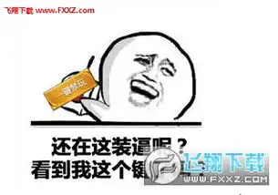 系统表情包禁玩