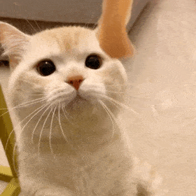 搞笑表情包拿来吧你