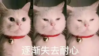 职场达人山不过来,我就过去