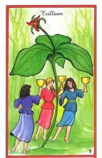 塔罗占卜你的姻缘何处来