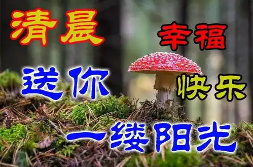 早晨问安希望你的未来不是梦,是理想,早晨好