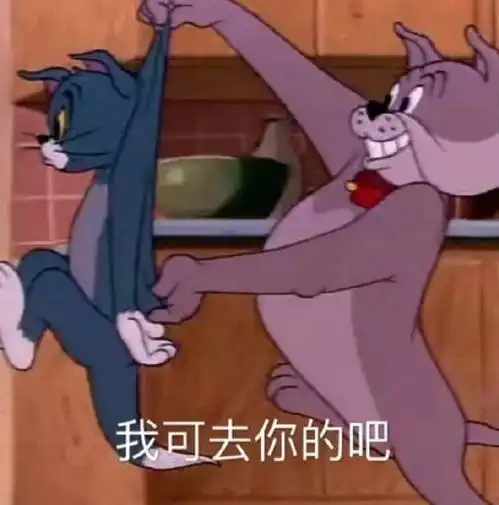 蠢钝如我,实习期间与老师的两次死亡对话