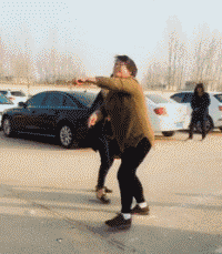 当家主母中毒猫画面引热议,疑似用真猫拍摄,网友漠视生命