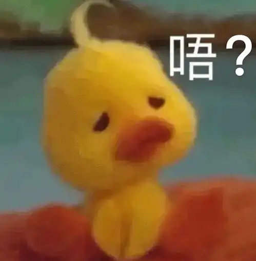 团块块公主表情包鸭鸭