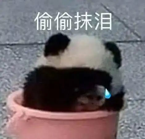 这个双12,它也开始有7天冷静期了网友快点吧等不及了