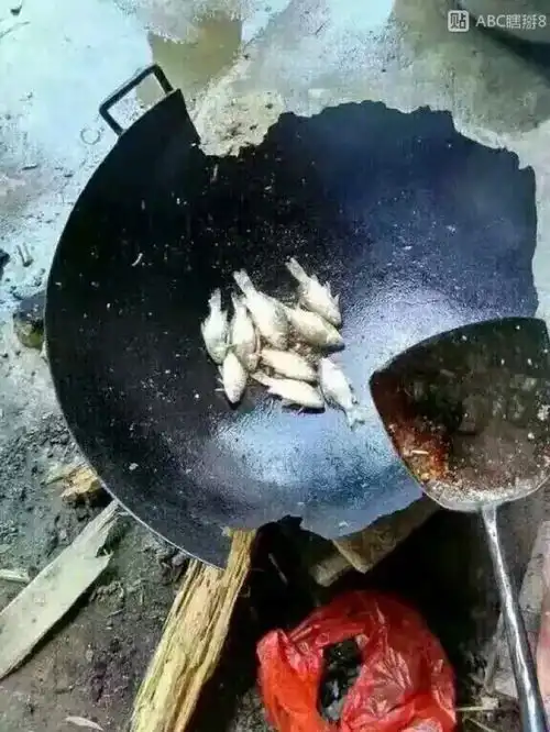 小钩细线配蚯蚓,这个搭配没毛病,半小时钓满洗脸盆,真是过瘾鲫鱼