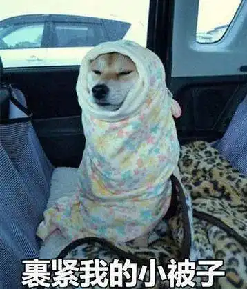 盖着棉被纯聊天表情包剃