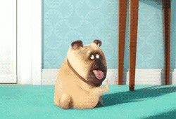 巨污表情包真人gif离开