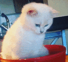 超多gif动态沙雕表情包,用了会上瘾