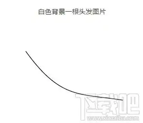 微信你的头发掉了是什么意思微信你的头发掉了是怎么回事