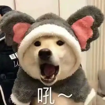 网红小胖妞表情包双头狗