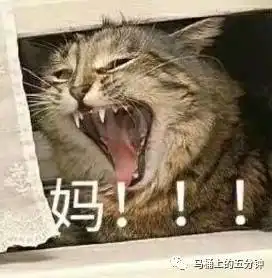 坐马桶上图个乐