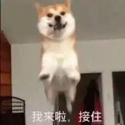 明天强冷空气就要来了,深圳最低只有8