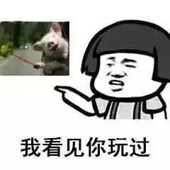 我对象呢表情包orz
