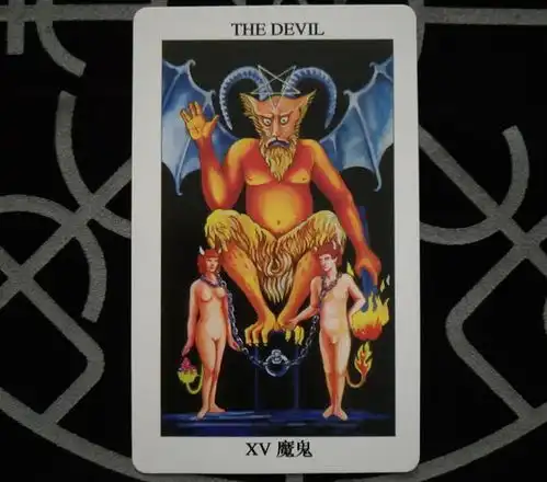 连晓明塔罗你是一个多情的人吗