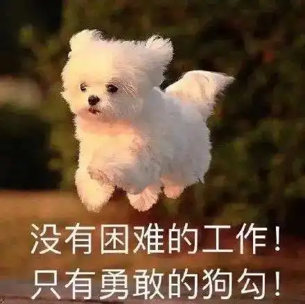 发男朋友巨污表情包表情