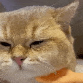 每日精选沙雕表情包