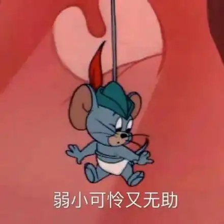 猫和老鼠表情包合集不服你顺着网线来打我啊