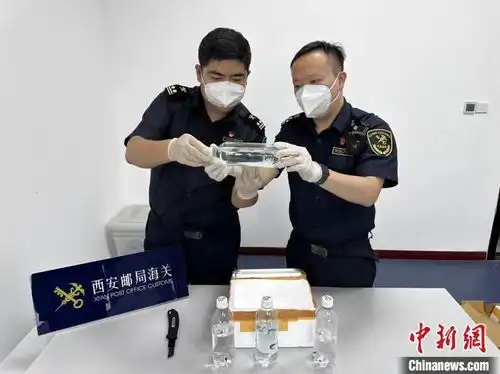 西安邮局海关在入境邮件中查获偷渡鱼苗
