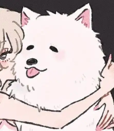 优质情头你说爱我的时候像极了中介骗我进厂