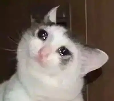 多数家长从未注意这件比成绩更重要的事