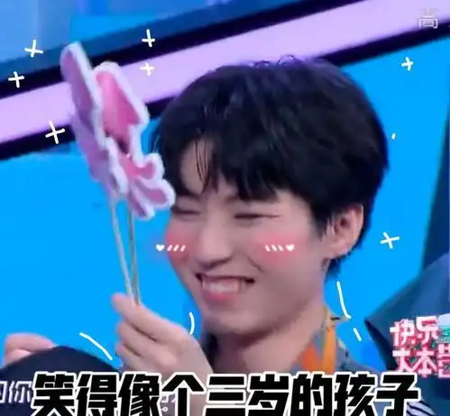 200616王俊凯表情包合集斗图再也不会输