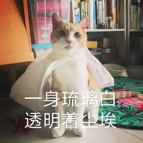 表情包qq上最美的情话5730,你知道是什么意思