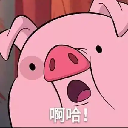 求原谅表情包搞笑图片猪
