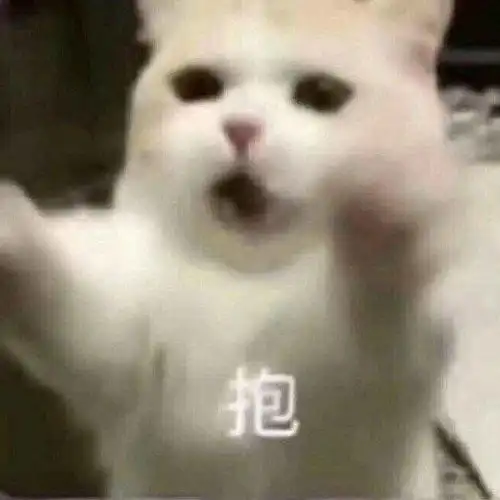 抱抱表情包合集我好累,我要哥哥抱着睡