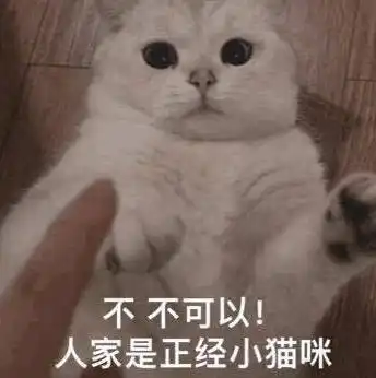 不不可以人家是正经小猫咪第80期喵表情