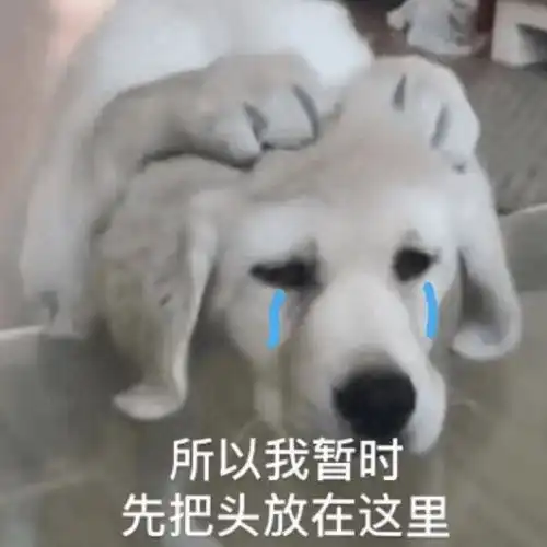 她是首个央视直拍比直播还美的人吧,脸上的金钱味都溢出屏幕了