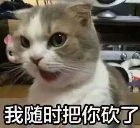 搞笑微信表情包猫咪开心