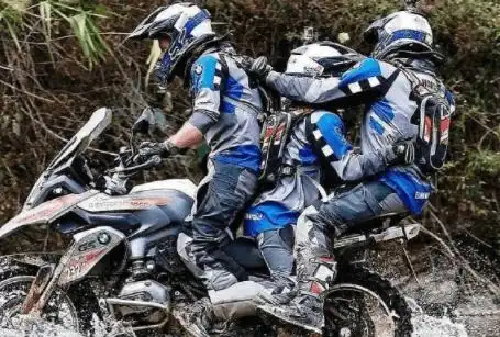 鱼惊不惊喜意不意外