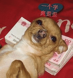 搞笑gif段子1这是选美大赛呀哇这简直太壮观了这一排小姐姐真的很漂亮这