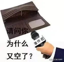 打开钱包没钱的表情包灵