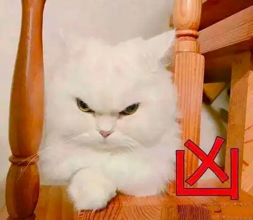 如何让大脑休息放松