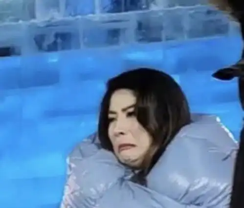 陈慧琳穿巨型羽绒礼服登台演出,羽绒服穿出蚂蚁腰,冷到表情失控
