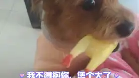 谁还不会个花手