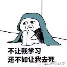 浪起来表情包图片就是你