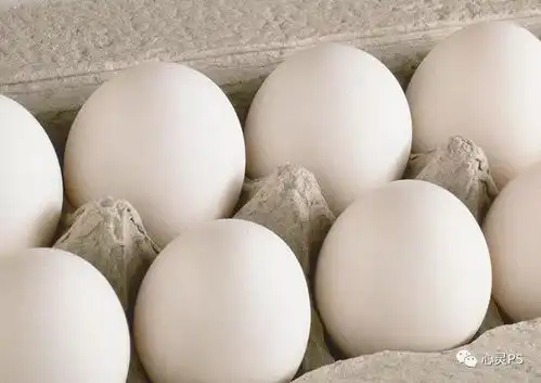 ps教程photoshop鼠绘鸡蛋表情