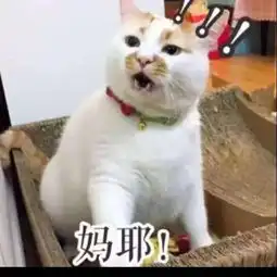 中国到底有多大其实地图把我们都骗了