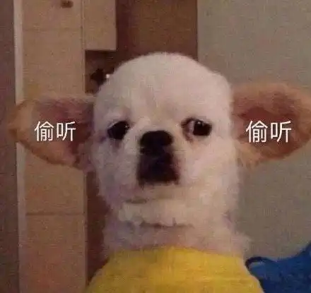 表情包你仿佛在逗我笑